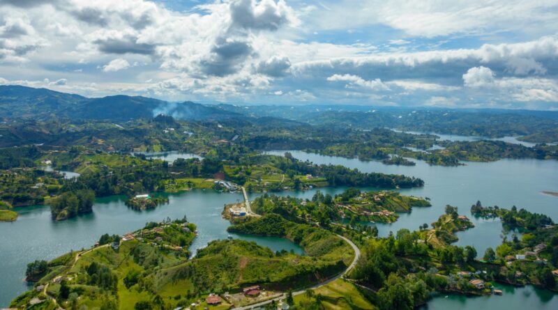 aerial view of green trees and river during daytime