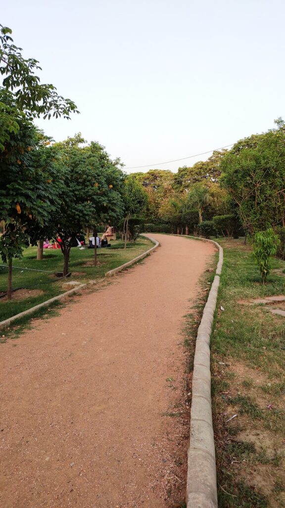 dirt road near trees during day