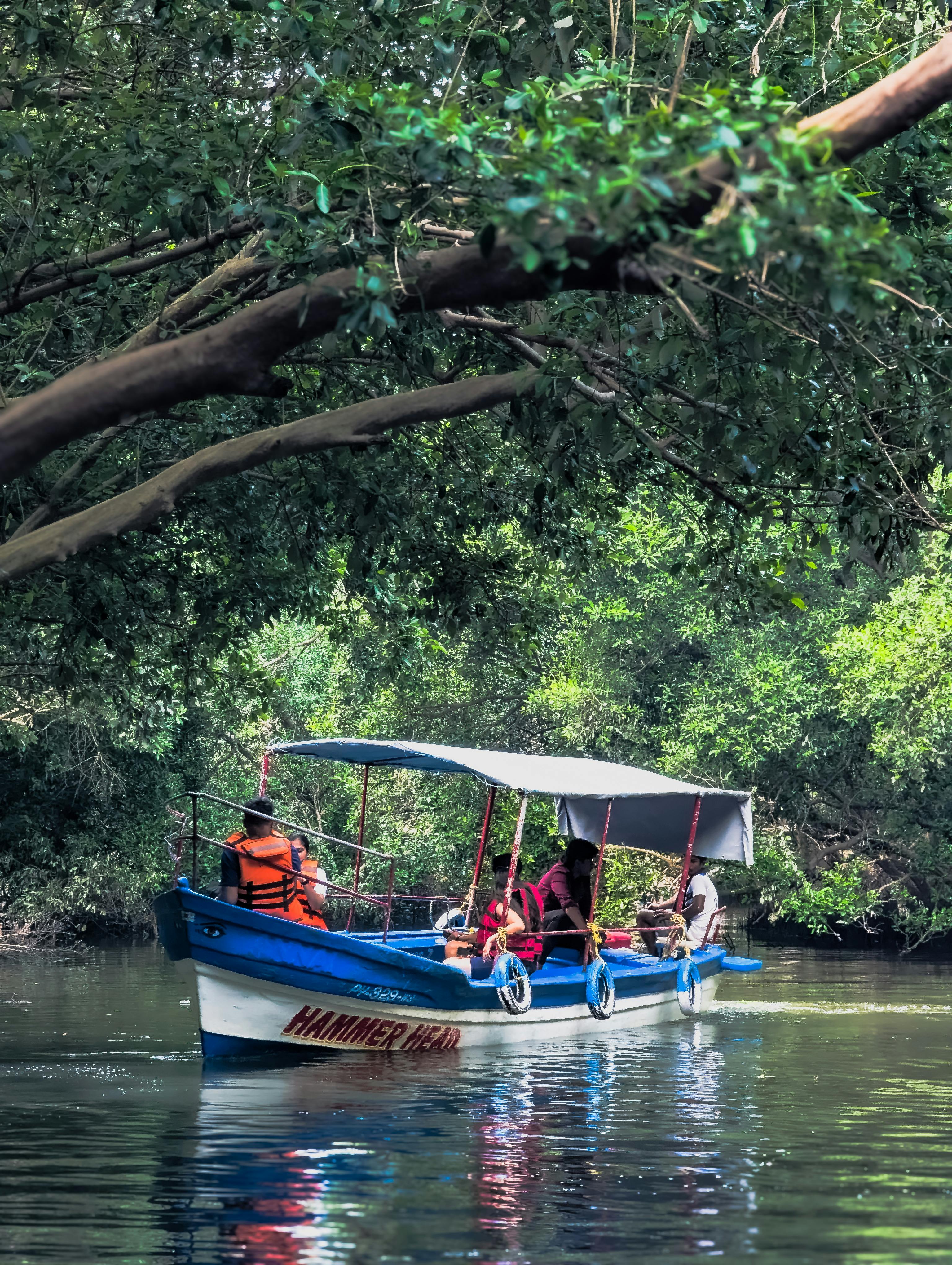 Rejs łodzią przez las namorzynowy